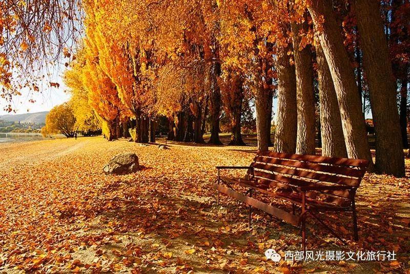 古董市场